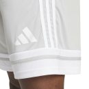 SQUADRA 25 Short TEAM LIGHT GREY/WHITE