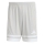 SQUADRA 25 Short TEAM LIGHT GREY/WHITE