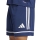 SQUADRA 25 Short TEAM NAVY BLUE/TEAM NAVY BLUE/WHITE