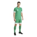 SQUADRA 25 Short TEAM GREEN/WHITE