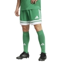 SQUADRA 25 Short TEAM GREEN/WHITE