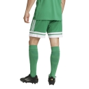 SQUADRA 25 Short TEAM GREEN/WHITE