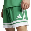 SQUADRA 25 Short TEAM GREEN/WHITE