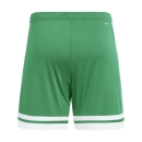 SQUADRA 25 Short TEAM GREEN/WHITE