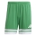 SQUADRA 25 Short TEAM GREEN/WHITE
