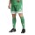 SQUADRA 25 Short TEAM GREEN/WHITE