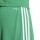 SQUADRA 25 Short TEAM GREEN/WHITE