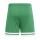 SQUADRA 25 Short TEAM GREEN/WHITE