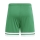 SQUADRA 25 Short TEAM GREEN/WHITE