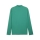 teamFINAL26 Trainingsjacke Sport Green-PUMA White-PUMA White