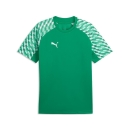 teamLIGA26 Trikot Sport Green-PUMA White-Sport Green