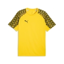 teamLIGA26 Trikot Faster Yellow-PUMA Black-PUMA Black