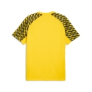 teamLIGA26 Trikot Faster Yellow-PUMA Black-PUMA Black