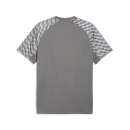 teamLIGA26 Trikot Flat Medium Gray-PUMA White-Flat Light...