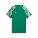 teamLIGA26 Jersey Junior Sport Green-PUMA White-Sport Green