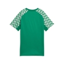 teamLIGA26 Jersey Junior Sport Green-PUMA White-Sport Green