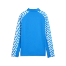 teamLIGA26 Training 1/4 Zip Top Junior Electro Royal-PUMA...