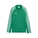teamLIGA26 Training 1/4 Zip Top Junior Sport Green-PUMA White-Sport Green