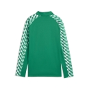 teamLIGA26 Ziptop Junior Sport Green-PUMA White-Sport Green