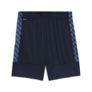 teamLIGA26 Trainingsshort PUMA Navy-PUMA White-Blue Horizon