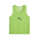 teamADDITIONS Bib Pitch Green-PUMA Black