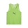 teamADDITIONS Bib Pitch Green-PUMA Black
