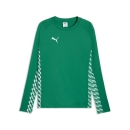 teamLIGA26 Trainingssweat Sport Green-PUMA White-Sport Green