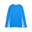 teamLIGA26 Trainingssweat Junior Electro Royal-PUMA...