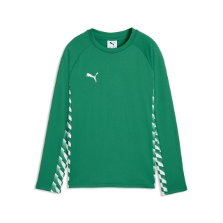 teamLIGA26 Trainingssweat Junior Sport Green-PUMA White-Sport Green
