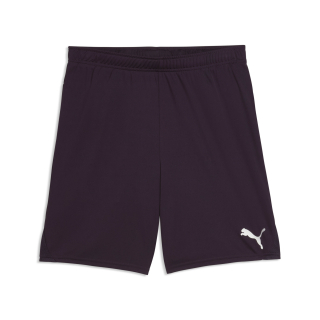 teamGOAL Shorts Midnight Plum-PUMA White