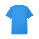teamFINAL Graphic Jersey Electro Royal-PUMA White-PUMA Team Royal