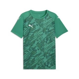 teamFINAL Graphic Trikot Sport Green-PUMA White-Power Green