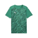 teamFINAL Graphic Jersey Sport Green-PUMA White-Power Green