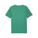 teamFINAL Graphic Jersey Sport Green-PUMA White-Power Green
