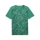 teamFINAL Graphic Trikot Sport Green-PUMA White-Power Green