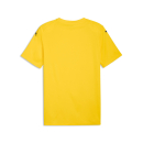 teamFINAL Graphic Trikot Faster Yellow-PUMA Black-Yellow...