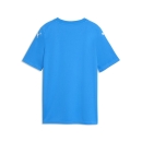 teamFINAL Graphic Trikot Junior Electro Royal-PUMA...
