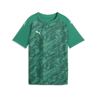 teamFINAL Graphic Jersey Jr Sport Green-PUMA White-Power Green