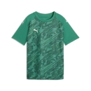 teamFINAL Graphic Jersey Jr Sport Green-PUMA White-Power...