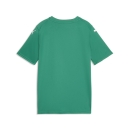 teamFINAL Graphic Trikot Junior Sport Green-PUMA...