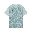 teamFINAL Graphic Trikot Junior Modern Mint-PUMA...