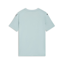 teamFINAL Graphic Trikot Junior Modern Mint-PUMA...