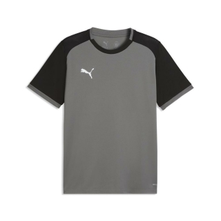 teamLIGA26 Matchday Trikot Flat Medium Gray-PUMA White-PUMA Black