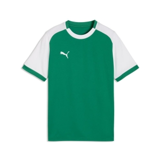 teamLIGA26 Matchday Trikot Junior Sport Green-PUMA White-PUMA White