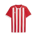 teamLIGA26 Striped Trikot PUMA Red-PUMA White-PUMA White