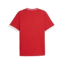teamLIGA26 Striped Trikot PUMA Red-PUMA White-PUMA White