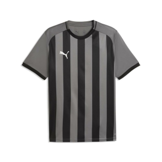 teamLIGA26 Striped Trikot Flat Medium Gray-PUMA White-PUMA Black