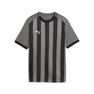 teamLIGA26 Striped Trikot Junior Flat Medium Gray-PUMA White-PUMA Black