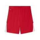teamLIGA26 Shorts PUMA Red-PUMA White-PUMA White