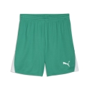 teamLIGA26 Shorts Sport Green-PUMA White-PUMA White